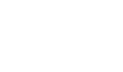 Sentinel Foundation